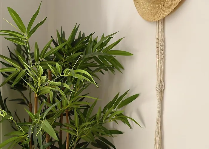 Bel Avec Piscine En Bord De Apartment